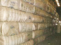how to purchase towels, about cotton towels, bath towels, kitchen towel, bamboo towel, hand towels, wash cloth, beach towels, about towels, how towels are made, making towels, types of yarn, cotton yarn, bamboo yarn low twist towels, hygro towels, how to buy towels, where to buy towels, luxury Towels, bath sheets, tub mat, large towels, oversized towels, quick dry towels, Christmas towels, Holiday towels, carded cotton, combed cotton, egyptain cotton, Pima cotton, Supima cotton, largest towel factories, best towel factories, best producers of towels, biggest towel mills, biggest towel factory, top towel producers, towel weaving, cotton weaving, weaving machine, linen, linens, towels, towel, cotton towel, cotton towels, turkish towels, tuckish towel, luxury towel, bath towel, bath towels, bath linens, egyptian towels, egyptian cotton, bath towel, hand towel, beach towel, bath towels, beach towels, how to buy towels, where to buy towels, Sears, Kohls, Macys, Target, Walmart, walmart 