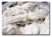 how to purchase towels, about cotton towels, bath towels, kitchen towel, bamboo towel, hand towels, wash cloth, beach towels, about towels, how towels are made, making towels, types of yarn, cotton yarn, bamboo yarn low twist towels, hygro towels, how to buy towels, where to buy towels, luxury Towels, bath sheets, tub mat, large towels, oversized towels, quick dry towels, Christmas towels, Holiday towels, carded cotton, combed cotton, egyptain cotton, Pima cotton, Supima cotton, largest towel factories, best towel factories, best producers of towels, biggest towel mills, biggest towel factory, top towel producers, towels, bath towel, towels, beach towels, Kids towel, towel sets, bath towel sets, towel wash cloth. egyptian cotton towels, hydro cotton,